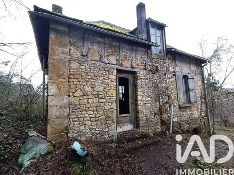 Vente maison 1 pièce Terrasson-Lavilledieu 24