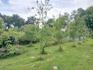Vente maison Vente maison