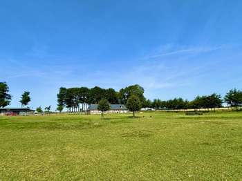 Vente Maison 6 chambresTocqueville-les-Murs