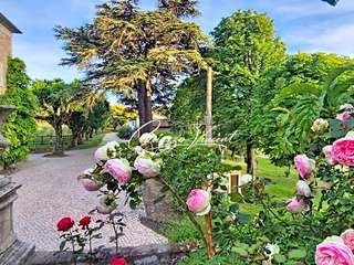 Vente maison 20 pièces