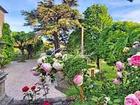 Vente maison 20 pièces
