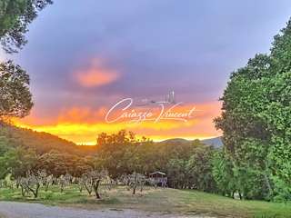 Vente maison 20 pièces