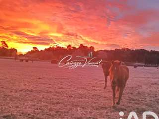 Vente maison 20 pièces