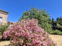 Vente maison 20 pièces