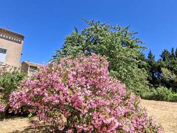 Vente maison 20 pièces