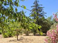 Vente maison 20 pièces