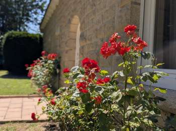 Vente Maison 5 chambresTrégueux