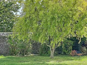 Vente maison 15 pièces