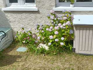 Vente maison 2 pièces Vente maison 2 pièces