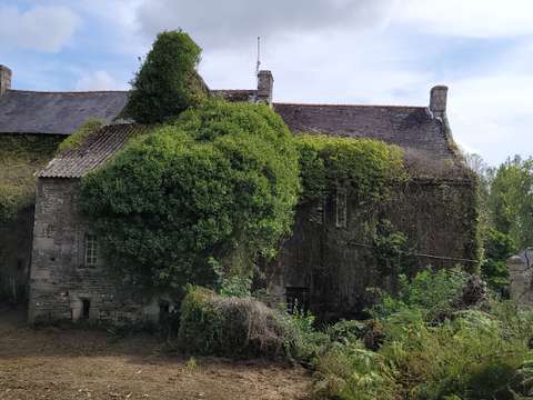 Vente maison