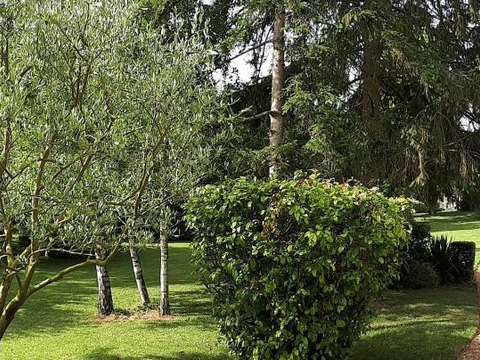 Vente maison 10 pièces Turquant 49