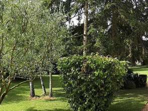 Vente Maison 5 chambresTurquant