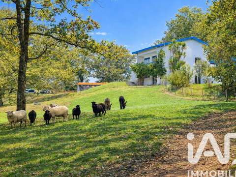 Vente maison 11 pièces