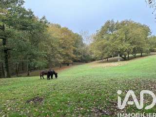 Vente maison 11 pièces