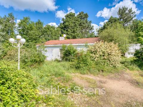 Vente maison 4 pièces Vairé 85