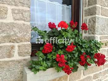 Vente maison 5 pièces Val-d'Izé 35
