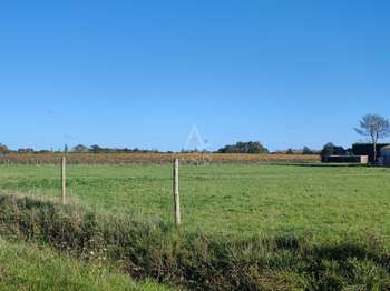 Vente maison 8 pièces Vallet 44