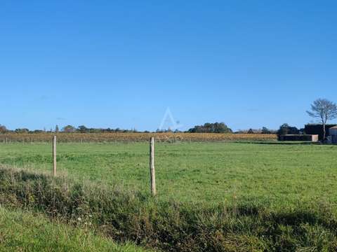 Vente maison 8 pièces Vallet 44