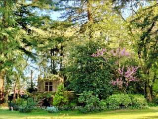 Vente maison 12 pièces