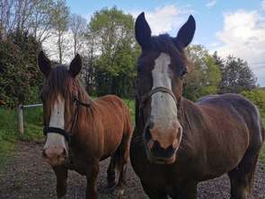 Vente Maison 2 chambresVannes