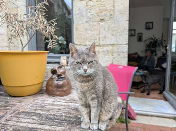 Vente maison 4 pièces Vannes 56