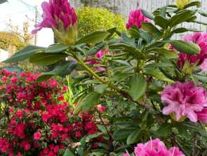 Vente Maison 5 chambresVannes Centre Ville