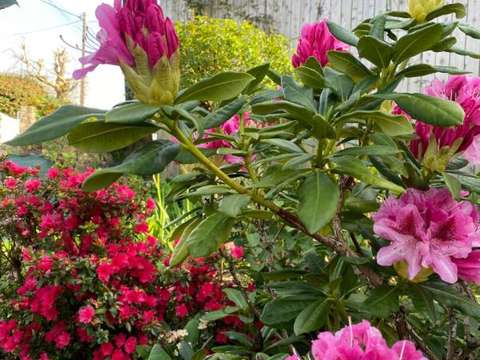 Vente maison 8 pièces Vannes Centre Ville 56