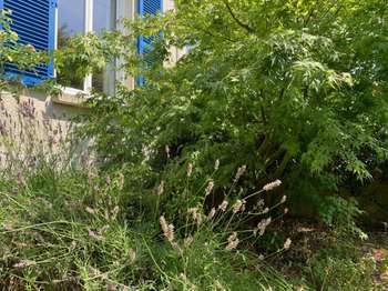 Vente maison 3 pièces Vannes Kercado - Trussac 56