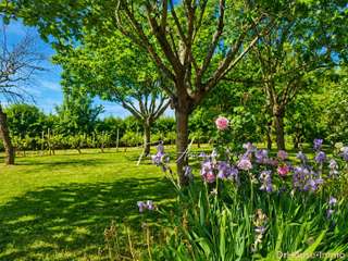 Vente maison 12 pièces