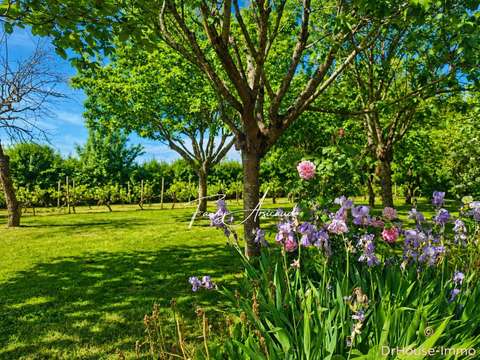 Vente maison 12 pièces