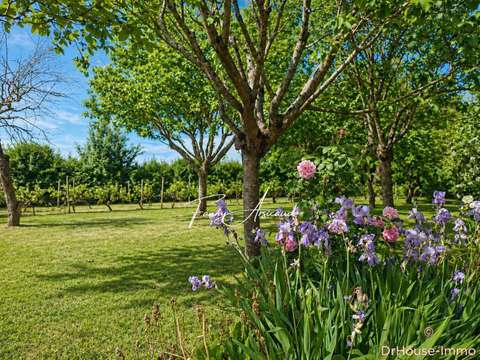 Vente maison 12 pièces