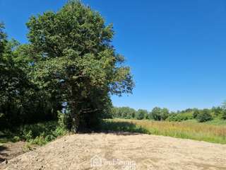 Vente maison 1 pièce