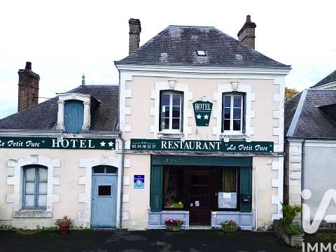 Vente maison 16 pièces Vendoeuvres 36