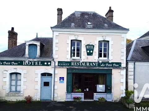 Vente maison 16 pièces Vendoeuvres 36