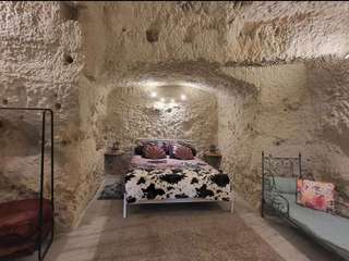 Vente maison 13 pièces