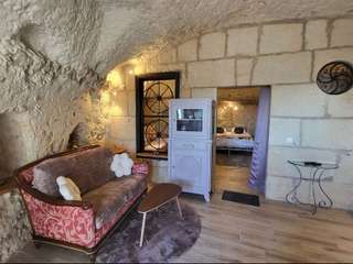 Vente maison 13 pièces