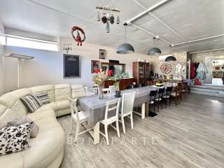 Vente maison 17 pièces