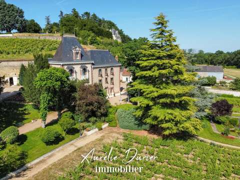 Vente maison 13 pièces Vernou-sur-Brenne 37
