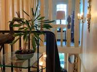 Vente maison 20 pièces