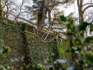 Vente maison 14 pièces