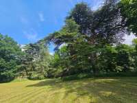 Vente maison 18 pièces