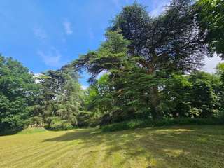 Vente maison 18 pièces