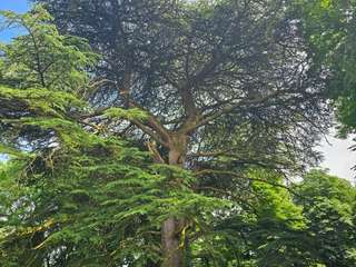 Vente maison 18 pièces