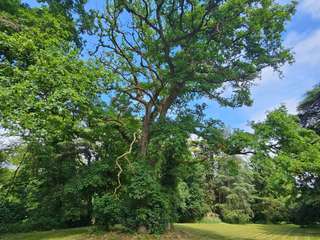 Vente maison 18 pièces