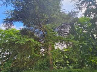 Vente maison 18 pièces