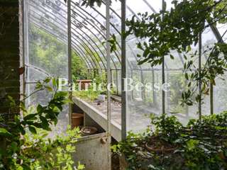 Vente maison 20 pièces