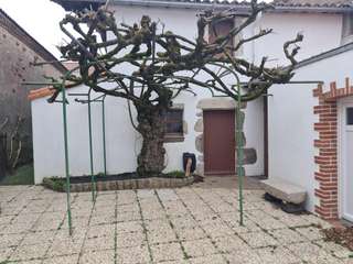 Vente maison