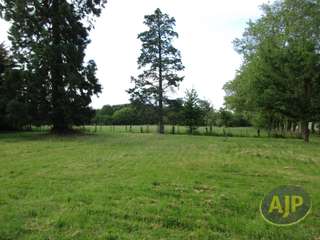 Vente maison 15 pièces