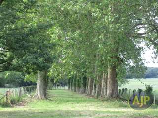 Vente maison 15 pièces