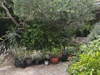 Vente maison 15 pièces